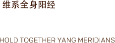 Yang Wei Function