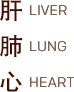 Kidney Other Zang Fu Physiologies