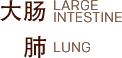 Large Intestine Zang Fu Physiologies