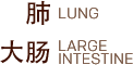 Lung Zang Fu Physiologies