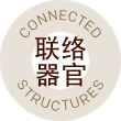 Connecting Structures